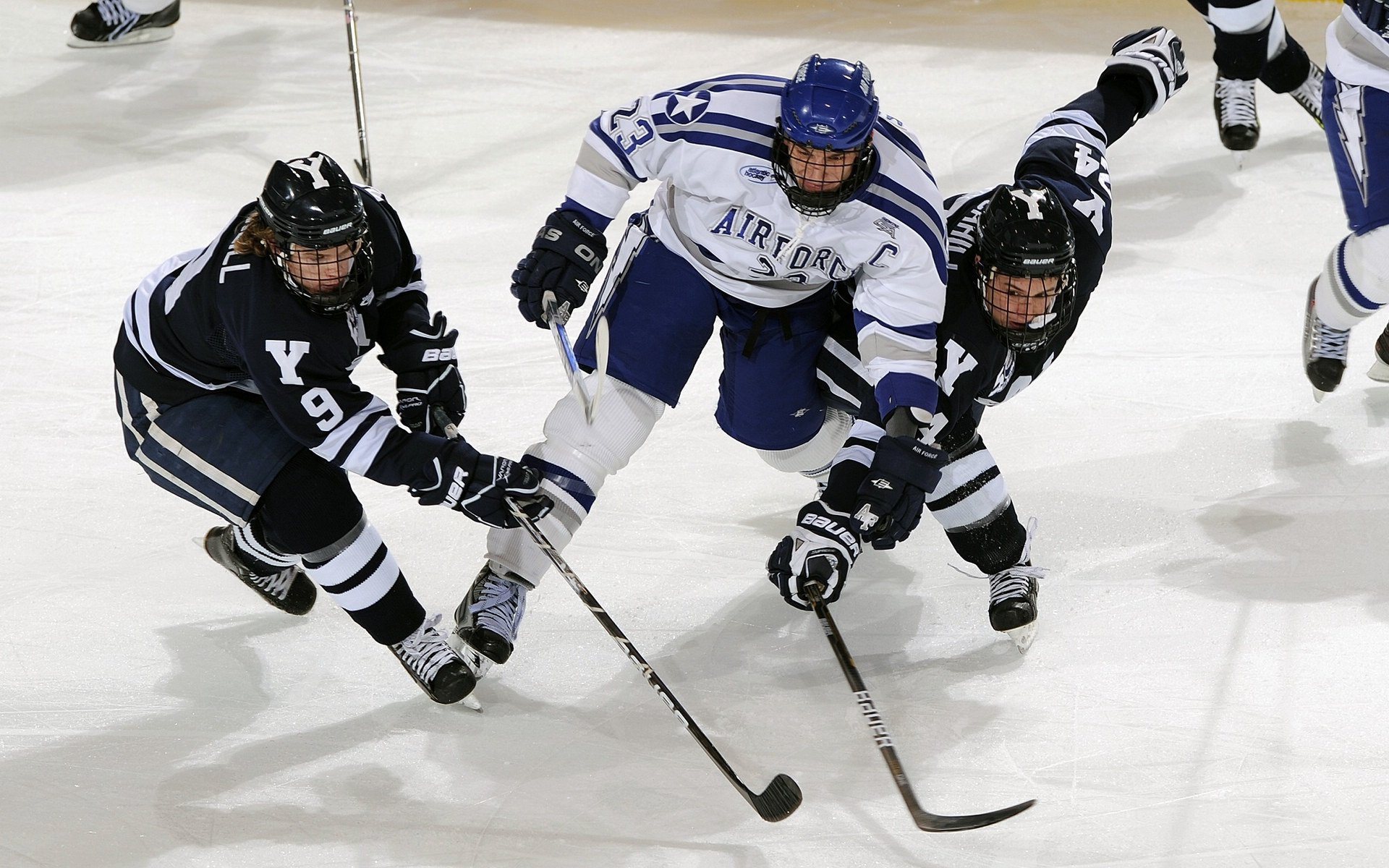 夏洛特黄蜂宣布新赛季主场装修，夏洛特黄蜂进过季后赛吗