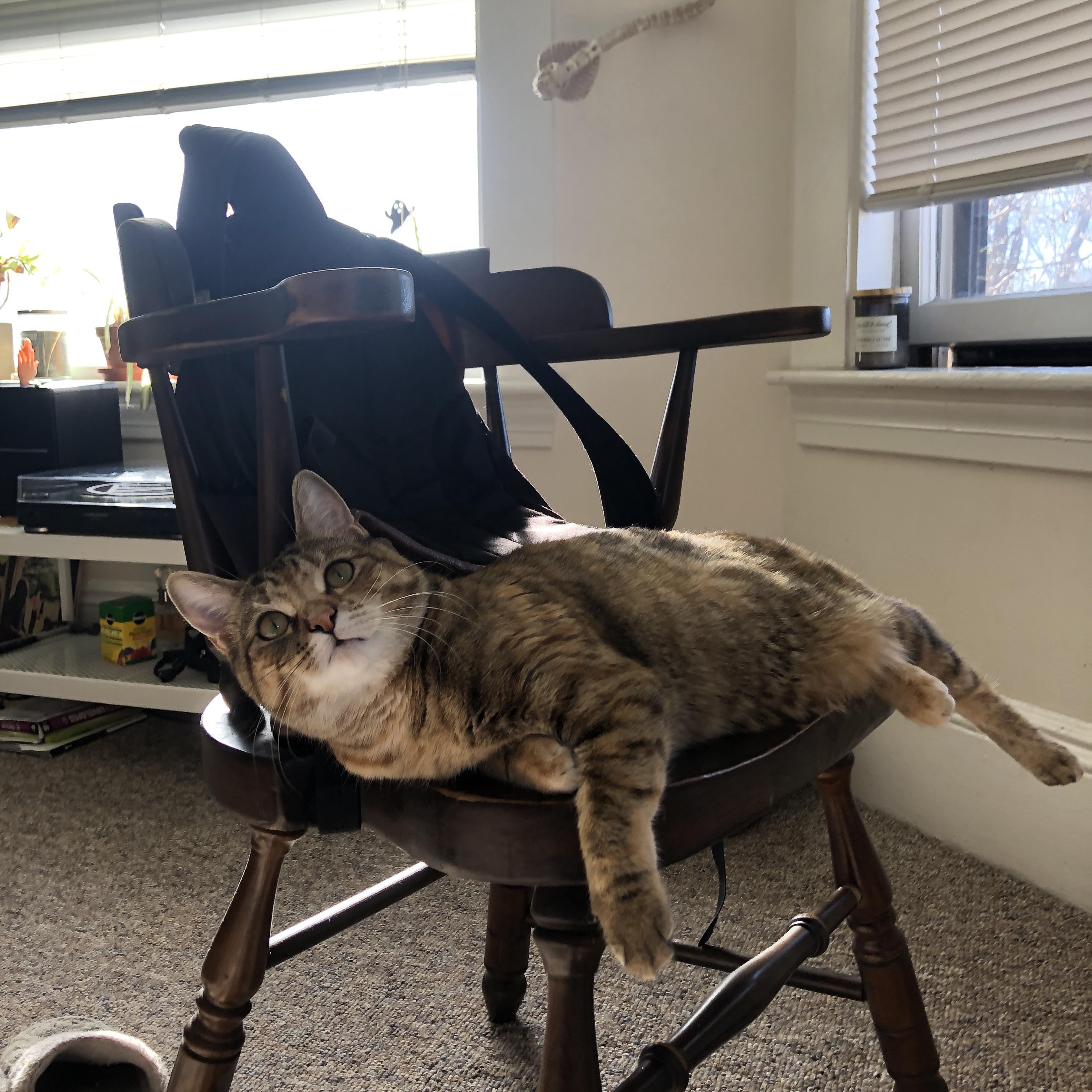 墨西哥队主帅当选“最佳冰球——不，是足球教练”，墨西哥球团